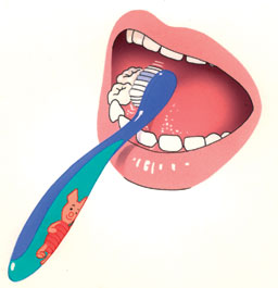 Monnik Inhalen blad Kindertandenborstel – Tandartsenpraktijk Erp – Erp